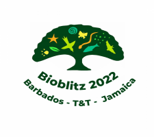 Arima Valley Bioblitz logo