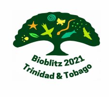 Tucker Valley Bioblitz logo