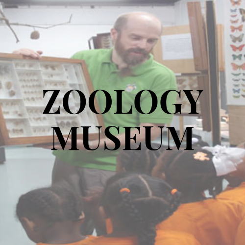 Zoology Museum.png