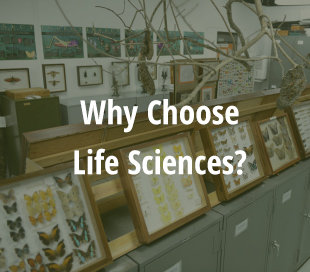 Why Choose Life Sciences