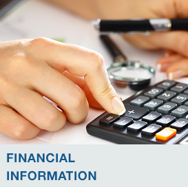 Financial Information
