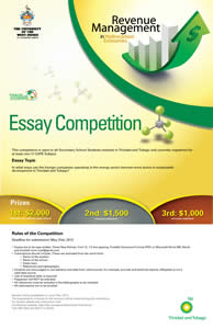 Essay Poster 1