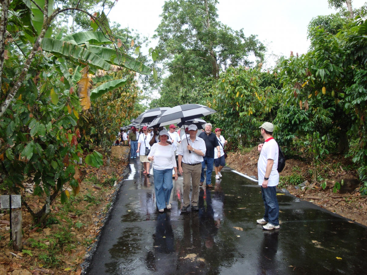 Visitors among the cocoa trees in the ICGT