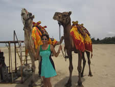 Camel friends