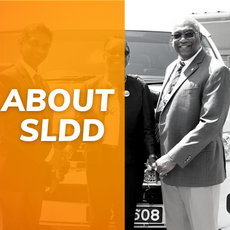 About SLDD_0.png