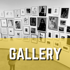 gallery1.png
