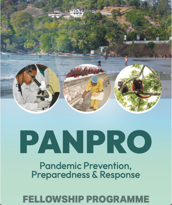 Nine fellows selected for the Pandemic Preparedness and Response (PANPRO) fellowship