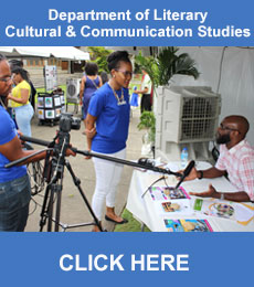 Department of Literary, Cultural and Communication Studies