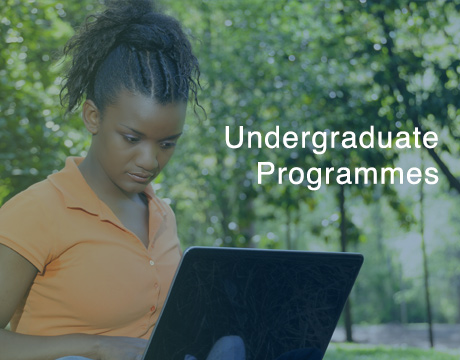 Undergraduate Programmes