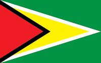 guyana flag_0.jpg