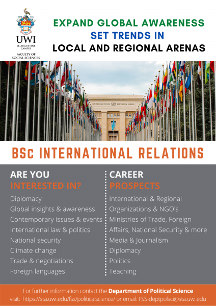 BSc IR Flyer_2022_fv.png