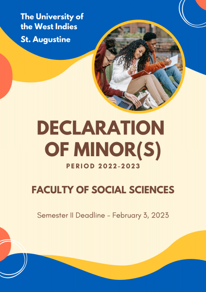 declaration of minors sem 2.png