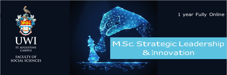 M.Sc Strategic Leadership & Innovation Programme Cover