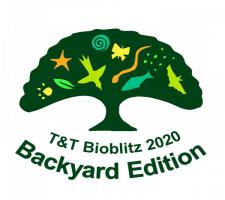 Bioblitz 2020 Logo_0.jpg