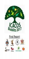 Icacos report cover_0.jpg