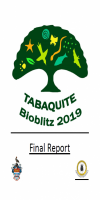Tabaquite final report cover_0.PNG