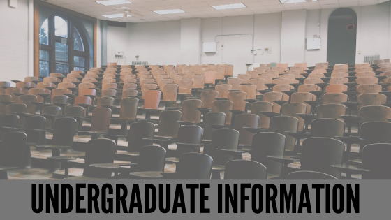 Undergraduate infomation.png