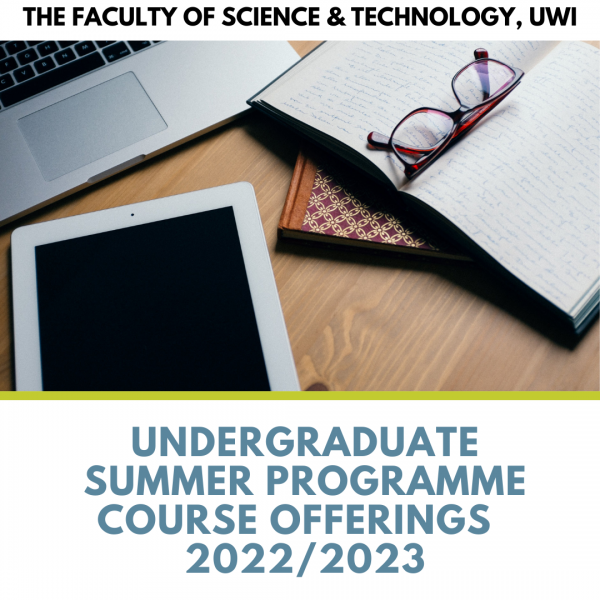 undergraduate summer programme 20222023.png