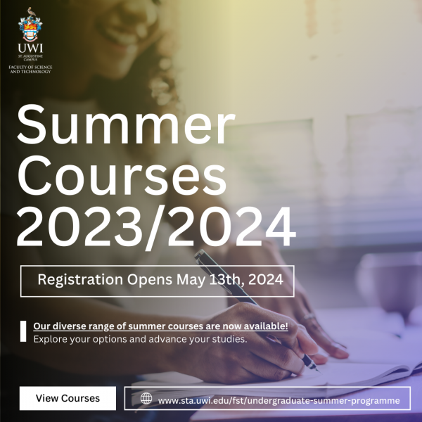 undergraduate summer programme 2023 2024 (1).png