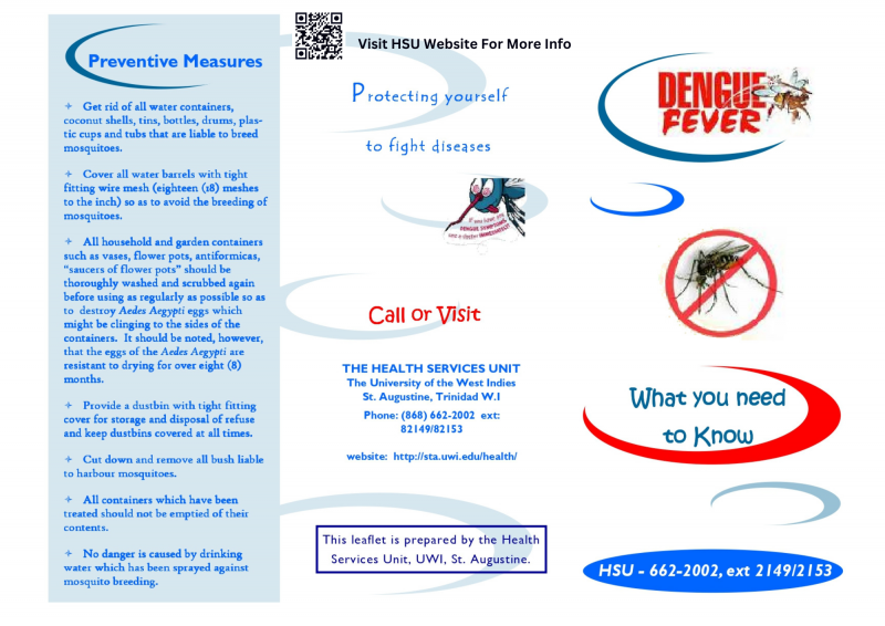 Dengue Fever - Preventive Measures 1.png