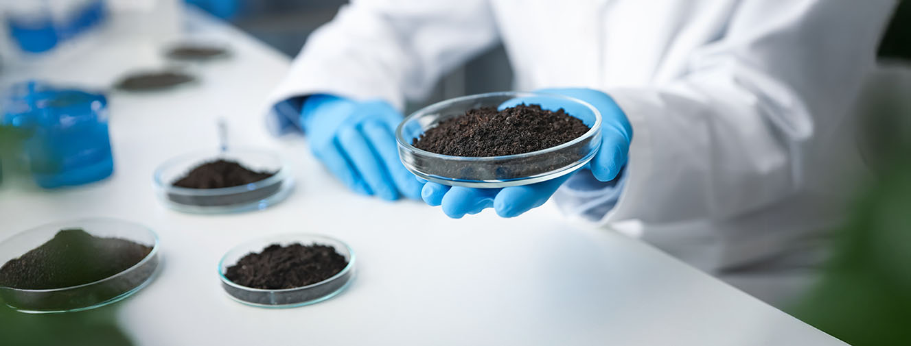 Go back to the basics: Manage soils first for sustainable development – Professor Mark Wuddivira