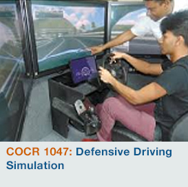 Defensive Driving Simulation