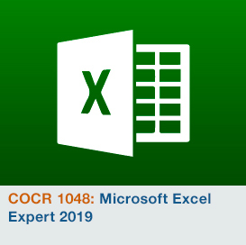 Microsoft Excel Expert 2019