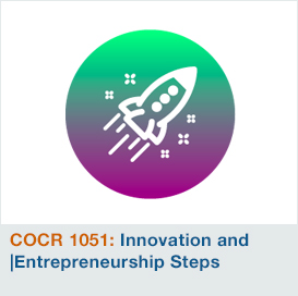 Innovation and Entrepreneurship Steps