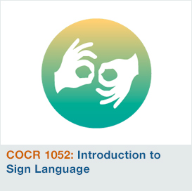 Introduction to Sign Language