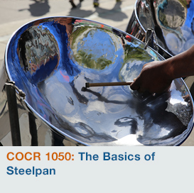 The Basics of Steelpan