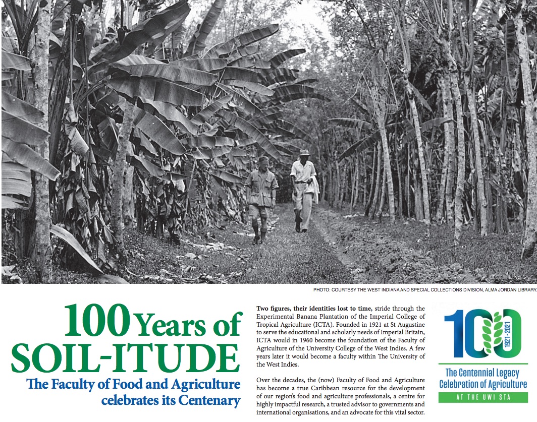 100 Years of Soil-itude