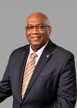 Professor Brian Copeland